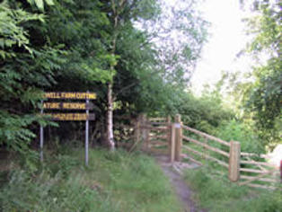Green spaces