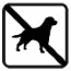 Dog (no pets allowed)